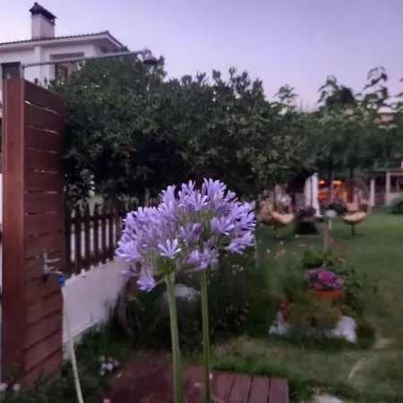 Traditional Arsanas Apartment Nikiti (Sithonia)