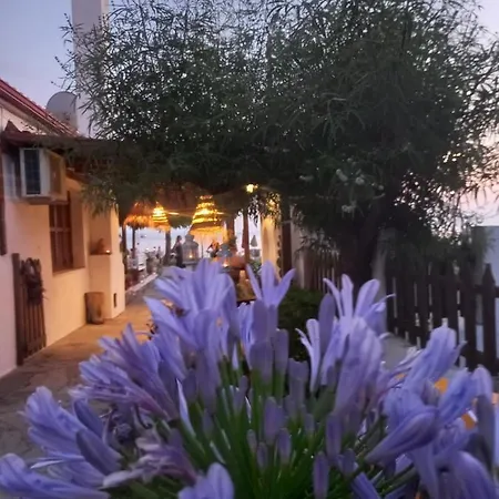 Traditional Arsanas Apartment