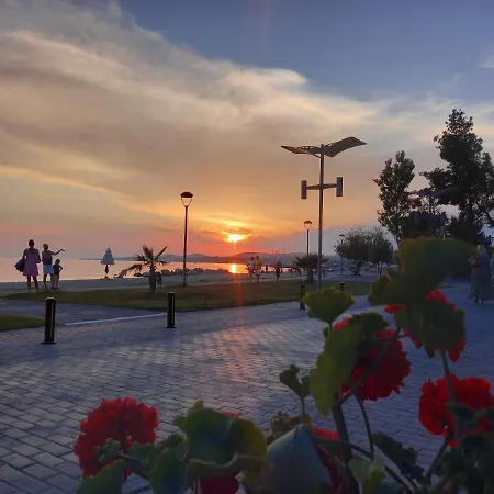 Traditional Arsanas *