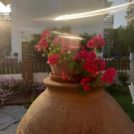 Traditional Arsanas Apartment *