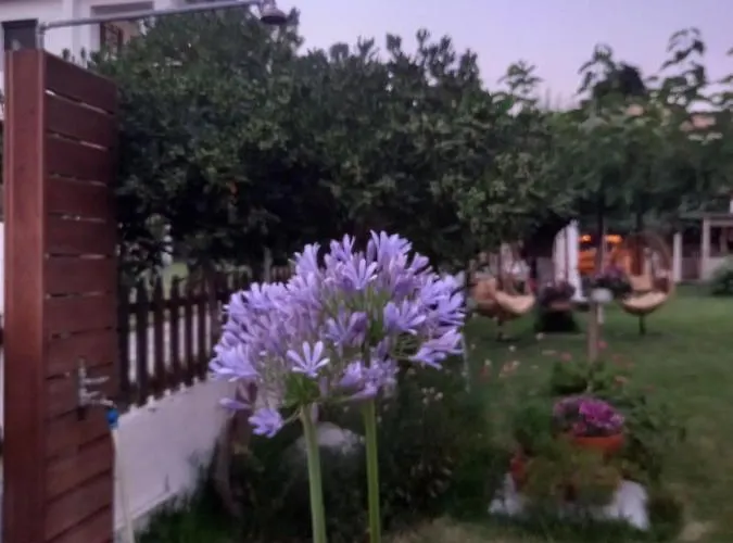 Traditional Arsanas 公寓 尼基季