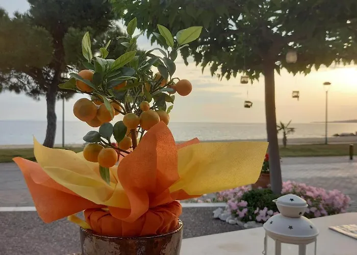 Traditional Arsanas Apartamento