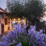 Traditional Arsanas Apartamento