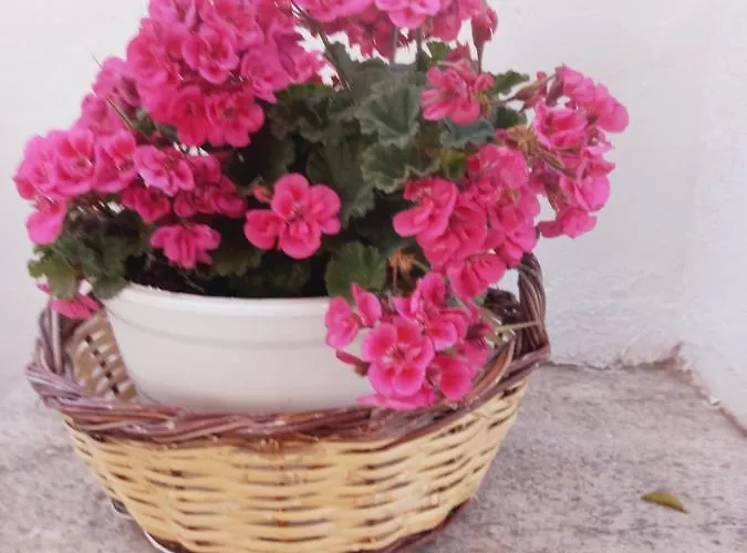 Appartement Traditional Arsanas